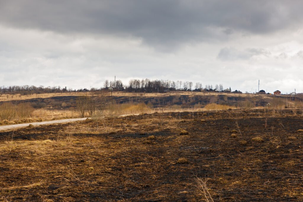 causes of soil pollution