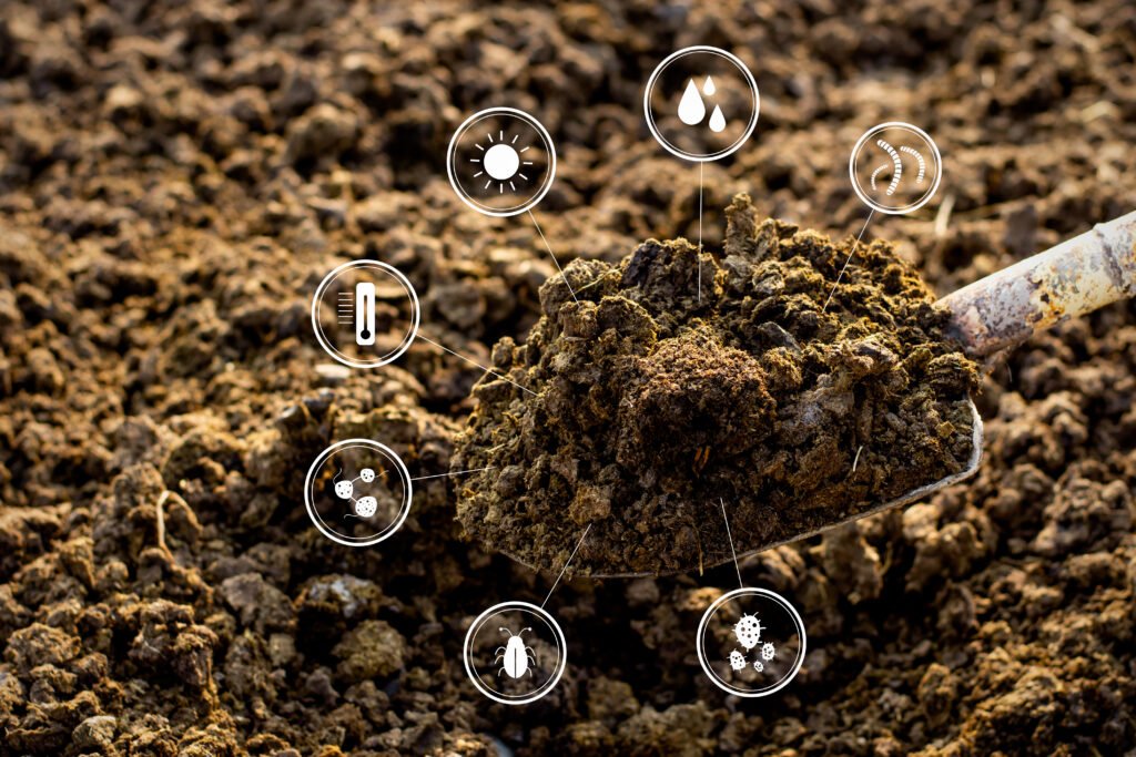 bioremediation of soil