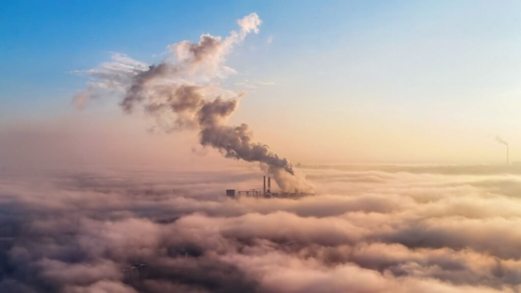 THE FINANCIAL IMPACT OF GREENHOUSE GASES ECONOMIC IMPLICATIONS ON BUSINESSES