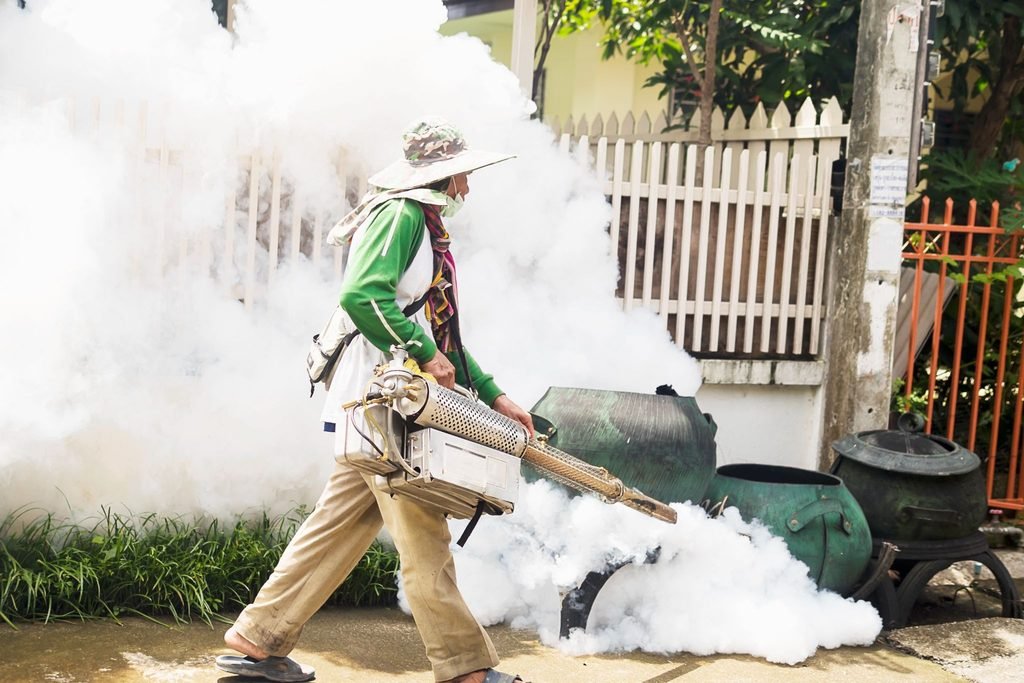 pesticide contamination and insect biodiversity loss
