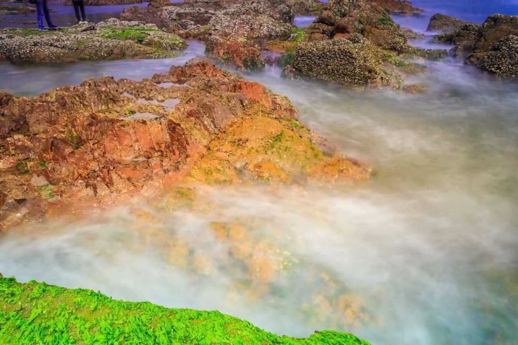 nitrate and phosphate eutrophication biodiversity effects