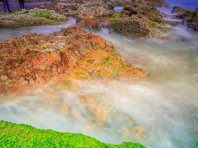 PREVENTING NITRATE AND PHOSPHATE EUTROPHICATION BIODIVERSITY EFFECTS THROUGH WATER MANAGEMENT