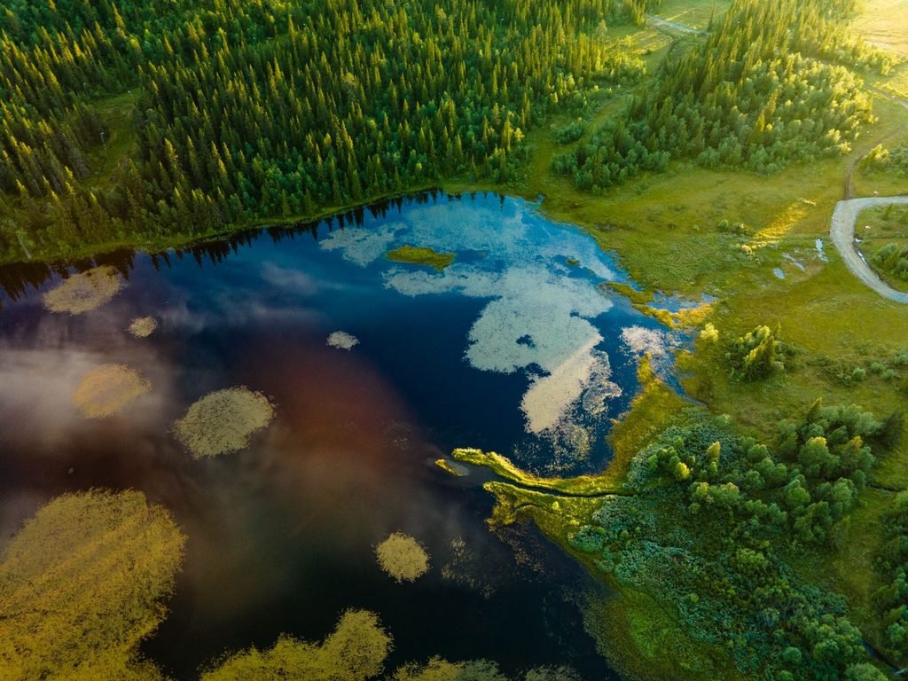 nitrate and phosphate eutrophication biodiversity effects