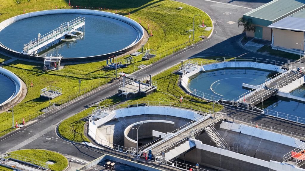 wastewater effluents and aquatic ecosystem disruption