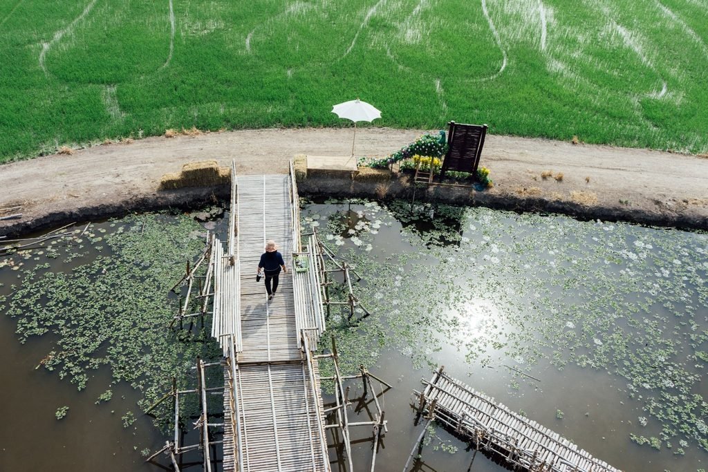 wastewater effluents and aquatic ecosystem disruption