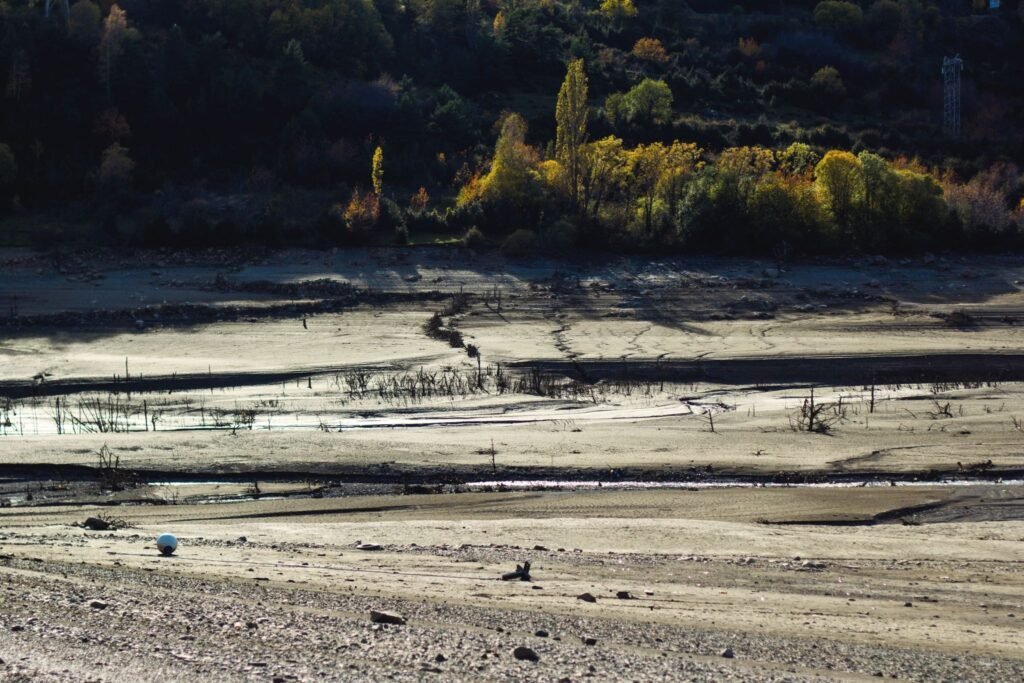 arsenic soil pollution