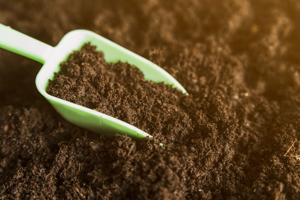 CADMIUM IN AGRICULTURAL SOIL: HOW IT ENTERS THE FOOD CHAIN