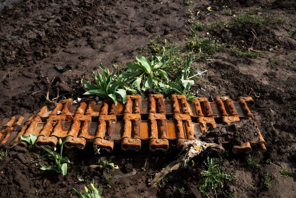 cadmium in agricultural soil