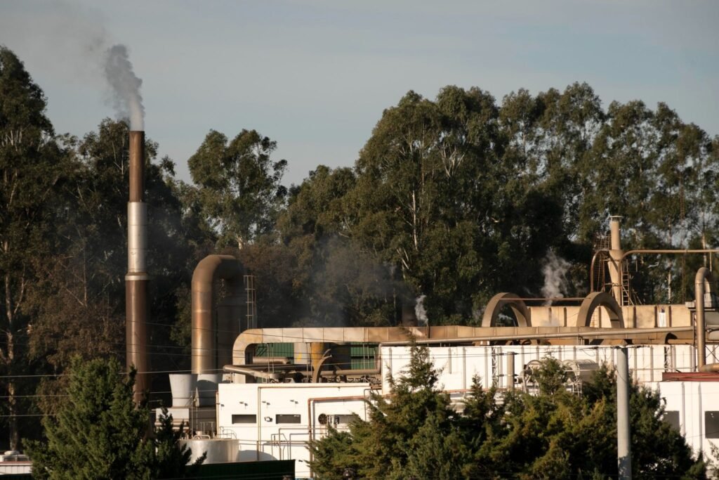THE ENVIRONMENTAL COST OF METHANE LEAKAGE FROM NATURAL GAS SYSTEMS