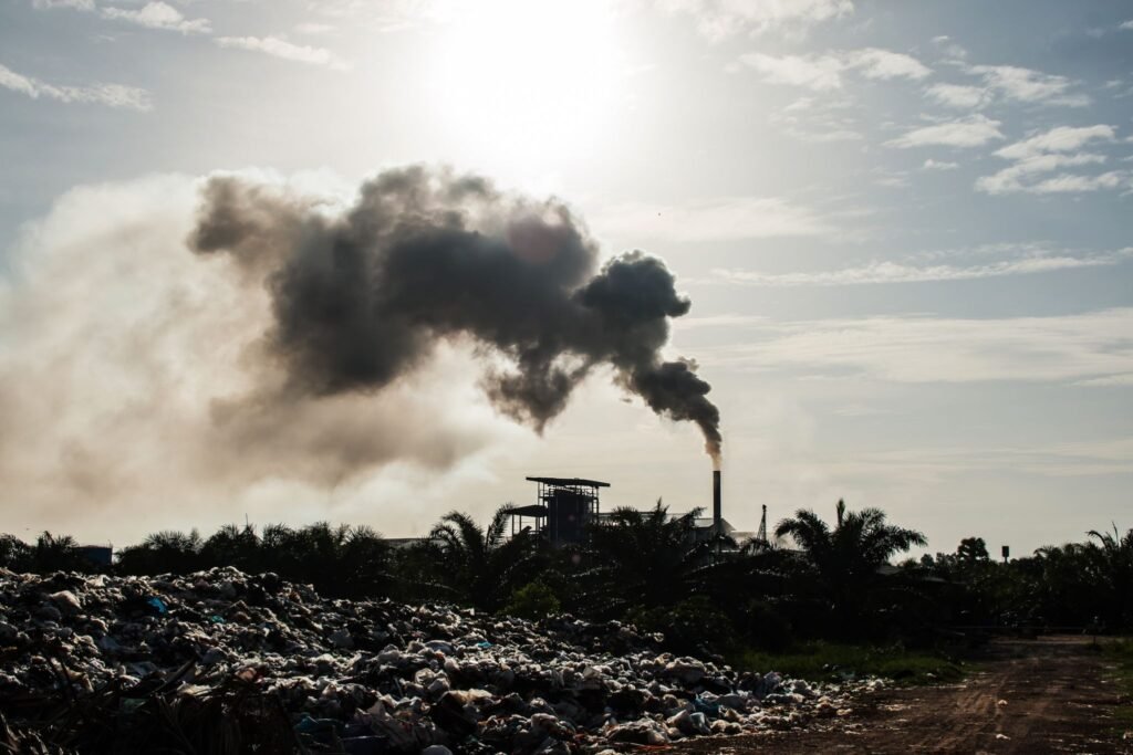 dioxins from waste incineration
