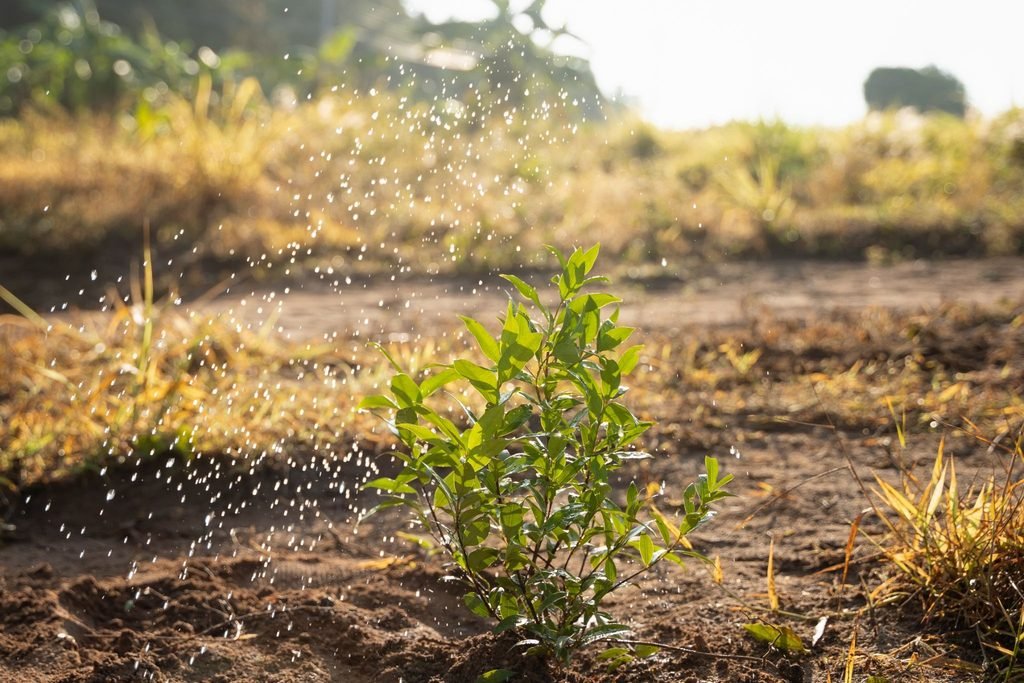 agricultural fertilizer chemical runoff soil ecosystem disruption
