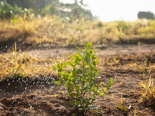 AGRICULTURAL FERTILIZER CHEMICAL RUNOFF SOIL ECOSYSTEM DISRUPTION IN FARMLAND ECOSYSTEMS