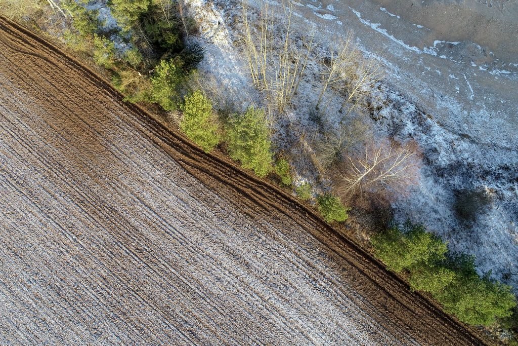 agricultural fertilizer chemical runoff soil ecosystem disruption